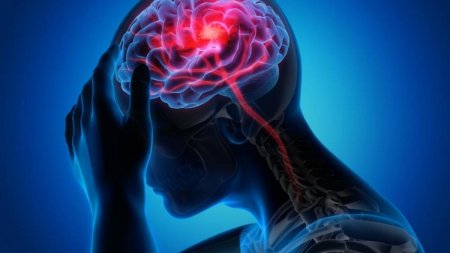 Bolile neurologice au detronat bolile de <span style='background:#EDF514'>INIMA</span>. Cea mai mare povara pentru fiinta umana