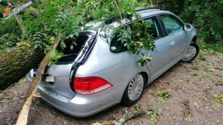 Autoturisme, avariate de copacii doborati de vant