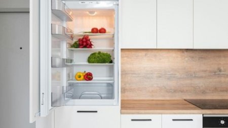 Nu stii ce sa alegi dintre un frigider si o combina f<span style='background:#EDF514'>RIGO</span>rifica? Afla care sunt diferentele si recomandarile de utilizare