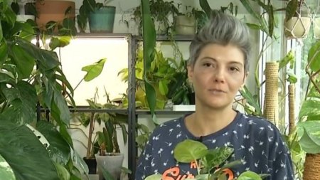 O femeie din Bucuresti si-a transformat apartamentul in gradina botanica. Cum arata planta de 21.000 de euro