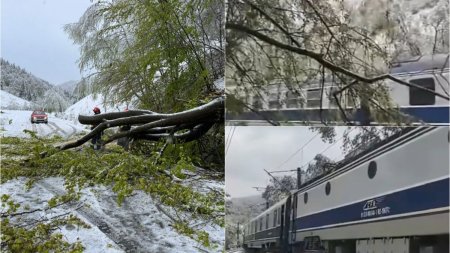 <span style='background:#EDF514'>CIRCUL</span>atie feroviara oprita dupa ce copacii au rupt liniile de tensiune. Vremea extrema a facut probleme in mai multe zone din tara
