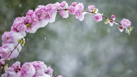 ANM a anuntat cat mai tine frigul in Romania! Prognoza meteo 22 aprilie - 5 mai 2024