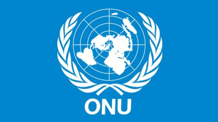 Un expert ONU avertizeaza asupra <span style='background:#EDF514'>RISCURI</span>lor de boli psihice pentru locuitorii din Gaza