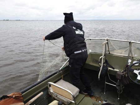 Control al comisarilor Garzii de Mediu pe Dunare, in plina perioada de prohibitie / S-au confiscat usten<span style='background:#EDF514'>SILE</span>, 5 km de setca monofilament si doua ambarcatiuni / Dosar penal pentru detinerea ilegala a trei exemplare de sturion – FOTO / VIDEO