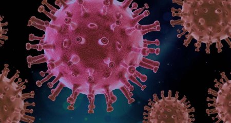 Gripa, <span style='background:#EDF514'>AMENINTARE</span>a numarul 1 pentru o viitoare pandemie