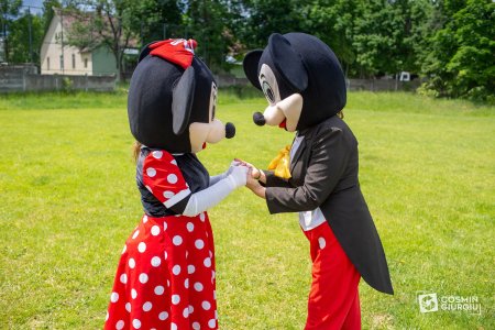 Doi romani costumati in Mickey si <span style='background:#EDF514'>MINNIE MOUSE</span>, prinsi jefuind turistii in Italia