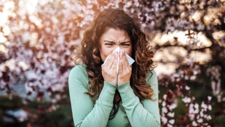 Cum sa gestionezi mai usor alergiile de <span style='background:#EDF514'>PRIMAVARA</span> 