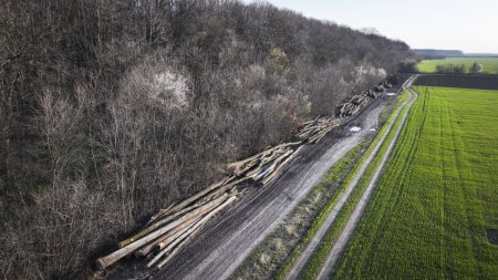 Unda verde pentru <span style='background:#EDF514'>CENTURA</span> Verde Bucuresti-Ilfov. Vot cu unanimitate din partea comisiilor reunite pentru mediu si pentru paduri din Senat