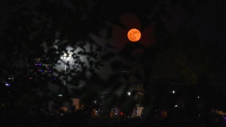 Evenimente inedite pe cer. Cand vom putea privi Luna roz si ploaia de meteoriti Lyr<span style='background:#EDF514'>IDEL</span>e