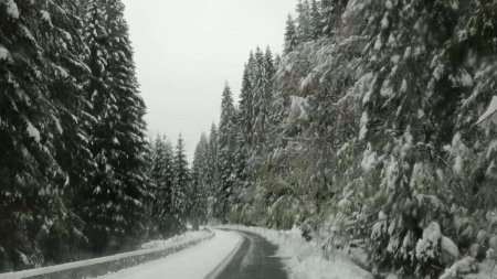 Alerta imediata meteo in trei judete: Vine viscolul