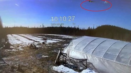 <span style='background:#EDF514'>MOMENTUL</span> in care un avion se prabuseste in Alaska. Doua persoane se aflau la bord | VIDEO