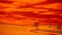 <span style='background:#EDF514'>ATENA</span>, inghitita de ceata portocalie provocata de furtuna de praf din Sahara