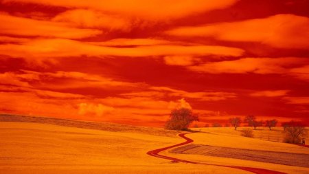Atena, <span style='background:#EDF514'>INGHITIT</span>a de ceata portocalie provocata de furtuna de praf din Sahara