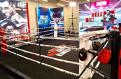 Competitia HELL Boxing <span style='background:#EDF514'>KING</span>s se afla la jumatatea calificarilor, iar premiul cel mare a starnit interesul a mii de luptatori de box