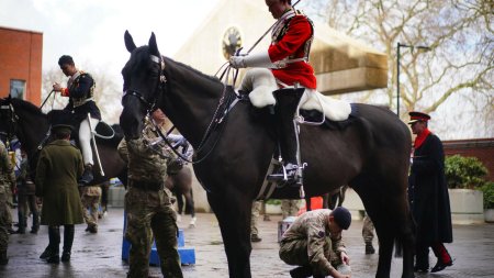 Alarma in centrul Londrei. Mai multi cai din cavaleria regala au scapat pe strada. O persoana a fost <span style='background:#EDF514'>RANIT</span>a
