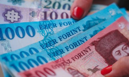 Volatilitatea <span style='background:#EDF514'>FORINT</span>ului face mai atractiva moneda euro pentru investitorii germani din Ungaria