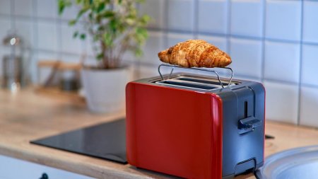 Lipii, quesadilla, friptura sau nuggets la ... toaster. Aparatul de prajit paine face minuni in bucatarie