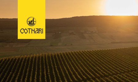 Cotnari lanseaza campania Crama Transparenta si ii invita pe iubitorii de vin sa exploreze traditia si inovatia in productia de <span style='background:#EDF514'>VINURI</span> de calitate