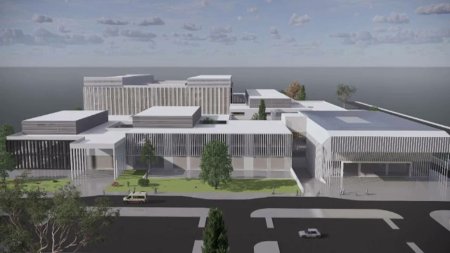 Guvernul a aprobat construirea Institutului de <span style='background:#EDF514'>ONCOLOGIE</span> Timisoara si ridicarea unui nou stadion de fotbal