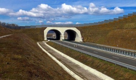 Autostrada Rusinii va fi <span style='background:#EDF514'>FINAL</span>izata la timp, promite Sorin Grindeanu