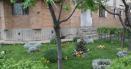 Amenda primita de o pensionara din Brasov pentru ca a plantat flori in gradina blocului. 