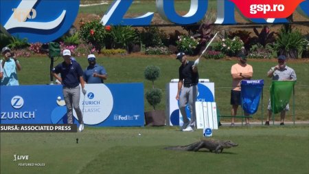 Un aligator a intr<span style='background:#EDF514'>ERUPT</span> turneul de golf din Louisiana