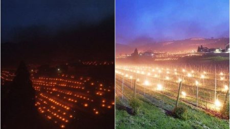 Mii de lumanari au fost aprinse noaptea, in livezi si podgorii, in Italia. Motivul este surprinzator