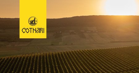Cramele Cotnari devin destinatie turistica pentru <span style='background:#EDF514'>IUBI</span>torii de vinuri, in cadrul campaniei Crama Transparenta