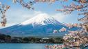 Un oras japonez va bloca o priveliste spre Muntele Fuji pentru a evita su<span style='background:#EDF514'>PRAT</span>urismul