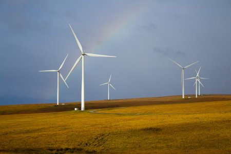 Acorduri de mediu pentru patru parcuri eoliene cu 81 de turbine in judetul Caras-Severin