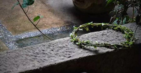 Salcia, simbolul sarbatorii de Florii, inconjurata de legende. A lacrimat si s-a aplecat din smerenie