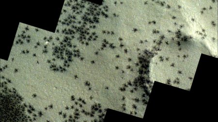 Ce sunt misteriosii paianjeni negri care au fost fotografiati pe Marte. Noi imagini ale Agentiei Spatiale Europene