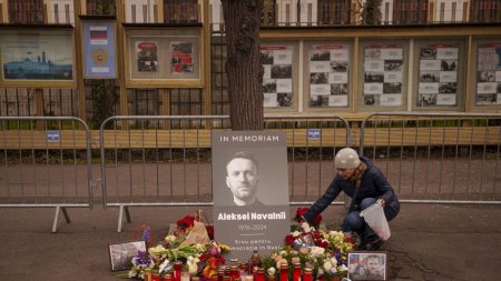 Serviciile secrete SUA au stabilit ca Vladimir Putin nu ar fi or<span style='background:#EDF514'>DONAT</span> uciderea lui ALexei Navalnii