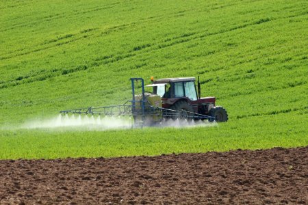 Fost ministru al Agriculturii: Peste 90% dintre fermierii romani nu sunt performanti  