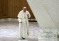 Papa Francisc face o vizita de o zi la Venetia