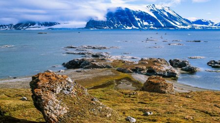 A mers sa viziteze Norvegia si s-a trezit cu o amenda de 1.000 de euro. <span style='background:#EDF514'>PATA</span>nia unui turist la Cercul polar arctic