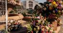Timisoara straluceste in Duminica Floriilor. Explozie de <span style='background:#EDF514'>CULOAR</span>e si parfum in oras FOTO VIDEO