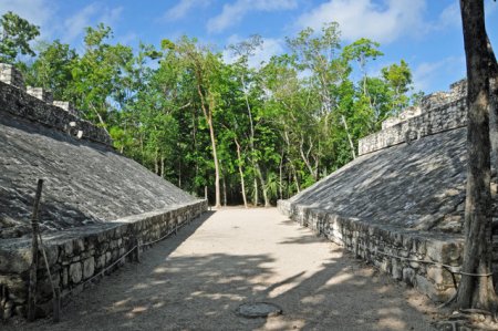 Plante halucionogene au fost descoperite sub un vechi teren de joc al mayasilor