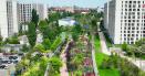 S-a deschis un nou parc in Bucuresti. Este unicul din Capitala unde poti lucra remote, in aer liber