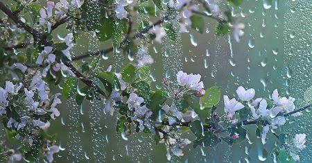 Cand si unde va ploua de 1 Mai si Paste. Aprilie se incheie cu temperaturi neobisn<span style='background:#EDF514'>UITE</span>