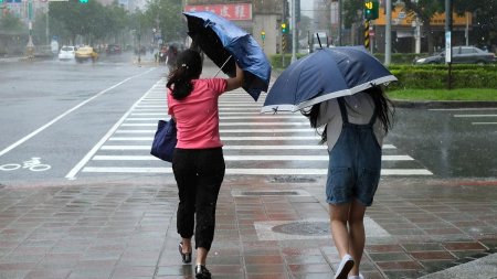 Vreme de primavara cu ploi slabe si temperaturi normale in Bucuresti