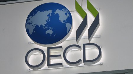 Guvernul decide! Platim voluntar la OCDE ca poate ne accepta mai repede