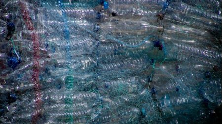 Oamenii de stiinta au descoperit solutia pentru a eradica deseurile din plastic | Plasticul viu poate salva planeta