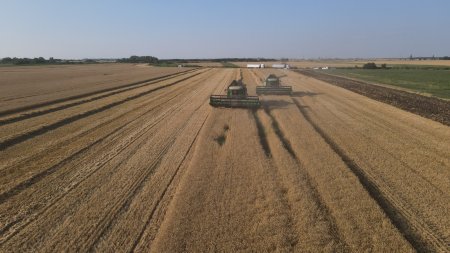 Ministerul Agriculturii: Beneficiarii Fondului European Agricol pentru Dezvoltare Rurala au primit in aceasta saptamana in conturile bancare o transa de plata de 119 milioane de euro