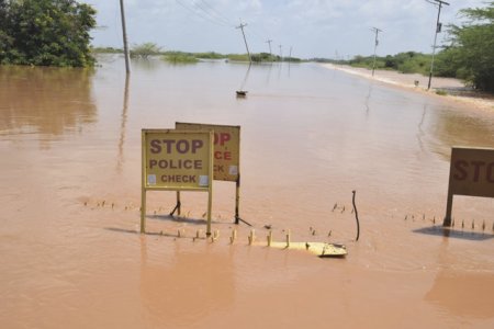 O cunoscuta rezervatie naturala din Kenya a fost inundata. Zeci de turisti sunt blocati