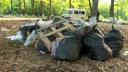 Munti de gunoaie lasate in urma de oamenii care au petrecut 1 Mai la picnic: 