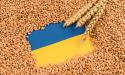 Oficialii ucraineni se asteapta la scaderea exporturilor de grau si porumb in 2024/25