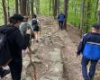 Mai multi turisti s-au intalnit cu patru ursi, pe traseul 300 de scari din Slanic Moldova. Au fost ajutati de jandarmi