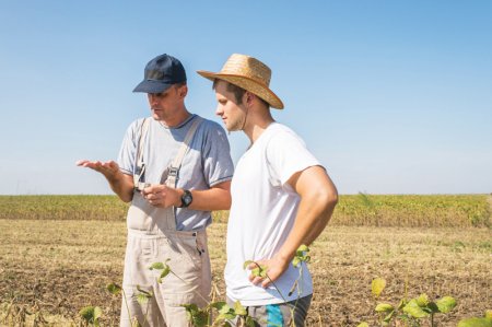 Neamt si Vaslui, liderii regionali ai UE intr-un <span style='background:#EDF514'>CLASAMENT</span> al angajatilor din agricultura raportat la numarul total de angajati din judet. In UE, Romania este tara cu cel mai mare numar de locuri de munca la nivel regional in agricultura, silvicultura si pescuit