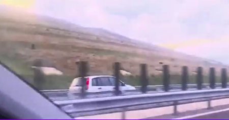 Sofer filmat circuland pe contrasens, pe A10 Sibiu – Cluj: N-ai cum, frate!